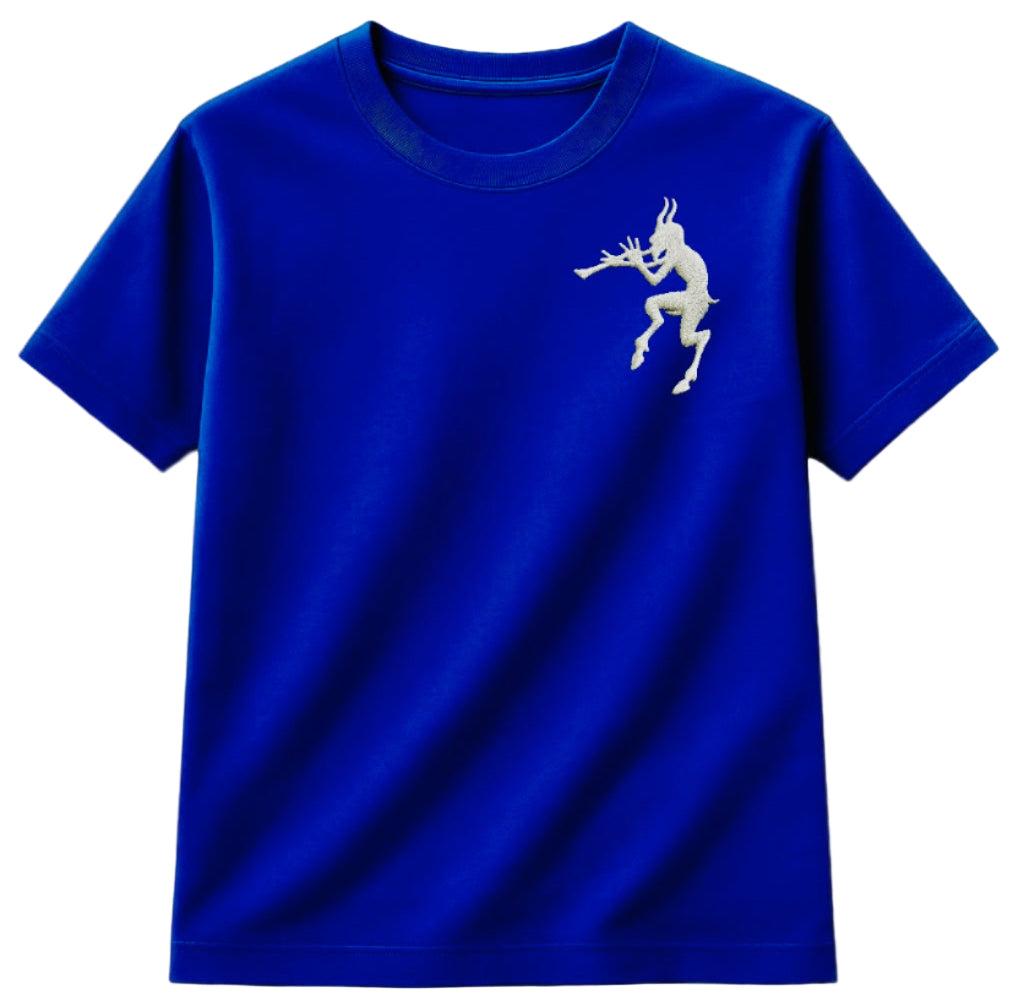 LA PLAYERA DEL INFIERNO