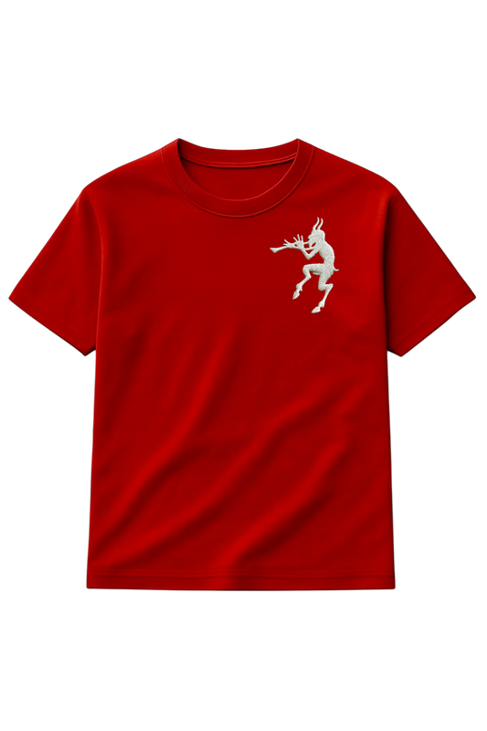PLAYERA DEL INFIERNO