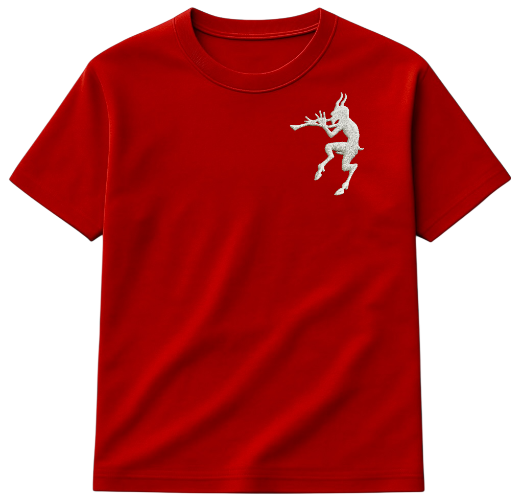 LA PLAYERA DEL INFIERNO